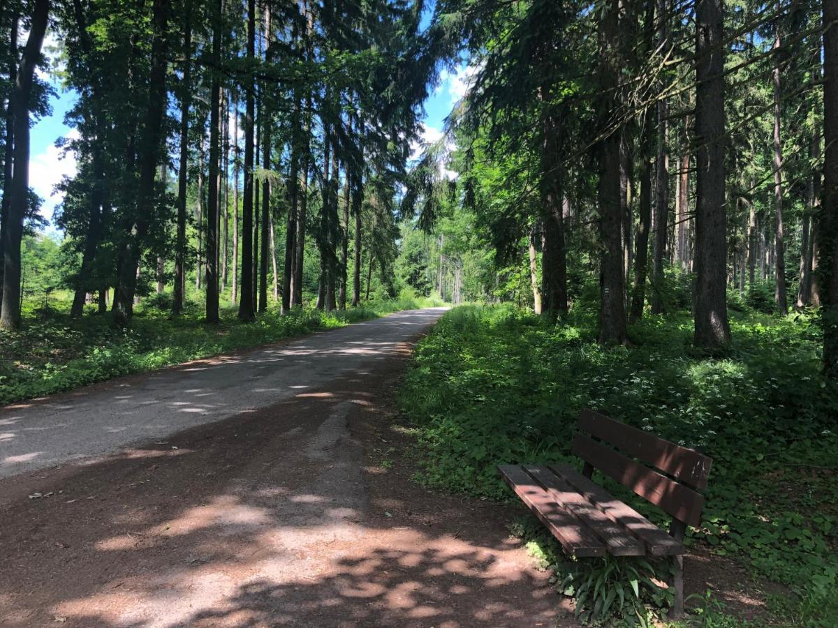 Apartmány Jevany Exteriér fotografie